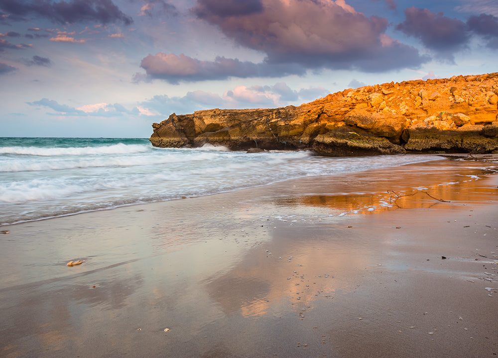 Beach, Sur