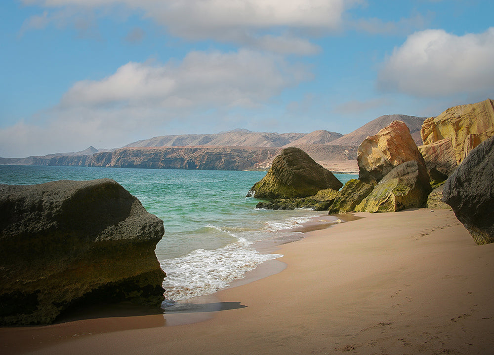 Ras Al jinz Turtle Reserve