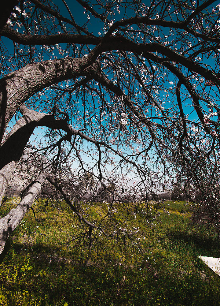 Wakan's Nature Beauty